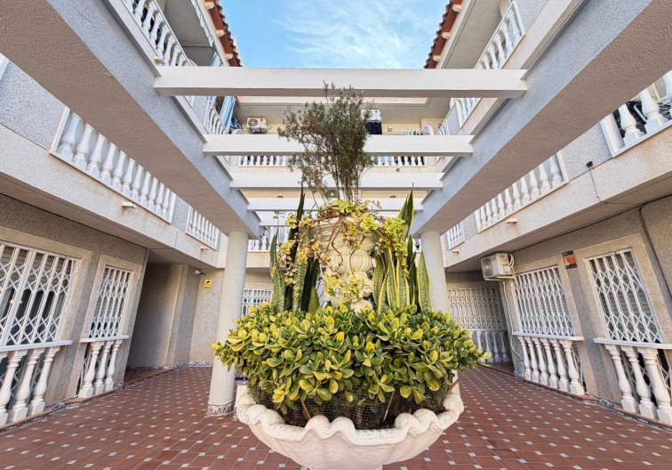 Segunda mano - Apartamento  - Torrevieja - Playa de los Locos