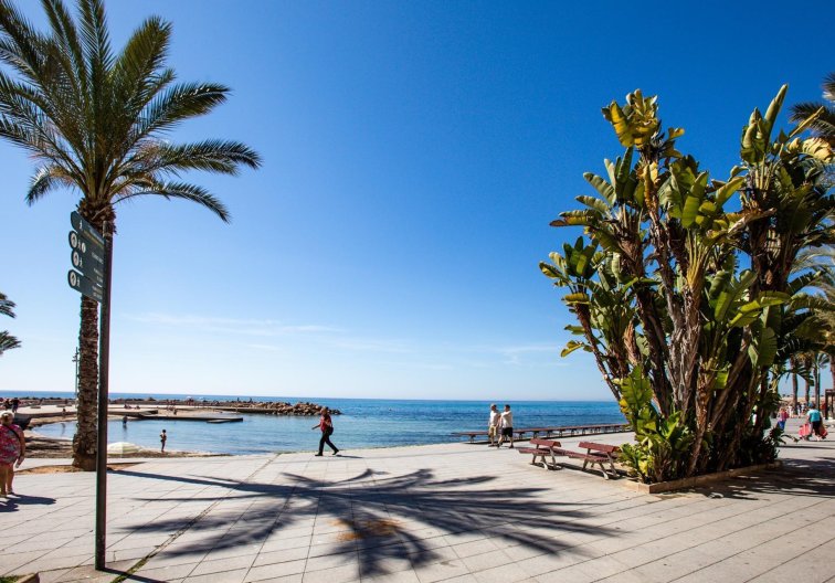 Wiederverkauf - Wohnung - Torrevieja - Playa del Cura