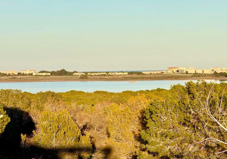 Revente - town house - Torrevieja - Costa Blanca