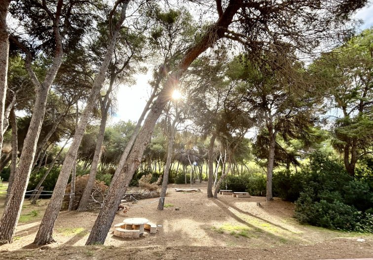 Segunda mano - town house - Dehesa de Campoamor - Costa Blanca