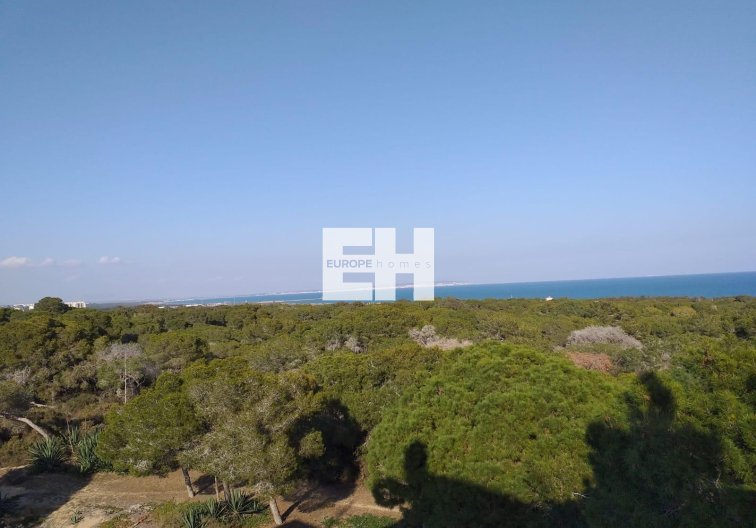 Obra Nueva - Apartamento  - Guardamar del Segura - Pueblo