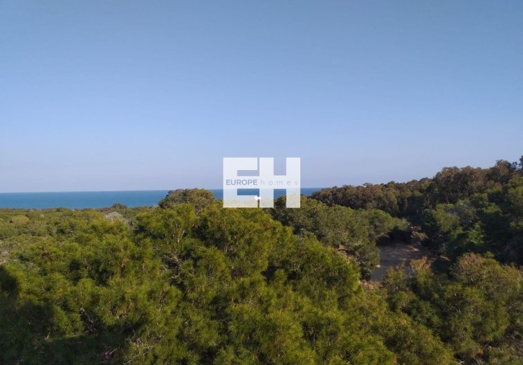 Construction Neuve - Penthouse - Guardamar del Segura - Pueblo