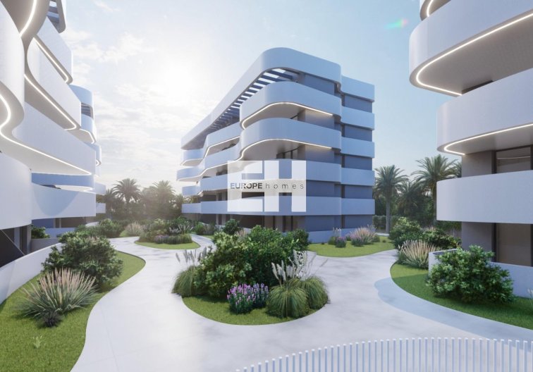 Obra Nueva - Atico - Guardamar del Segura - El Raso