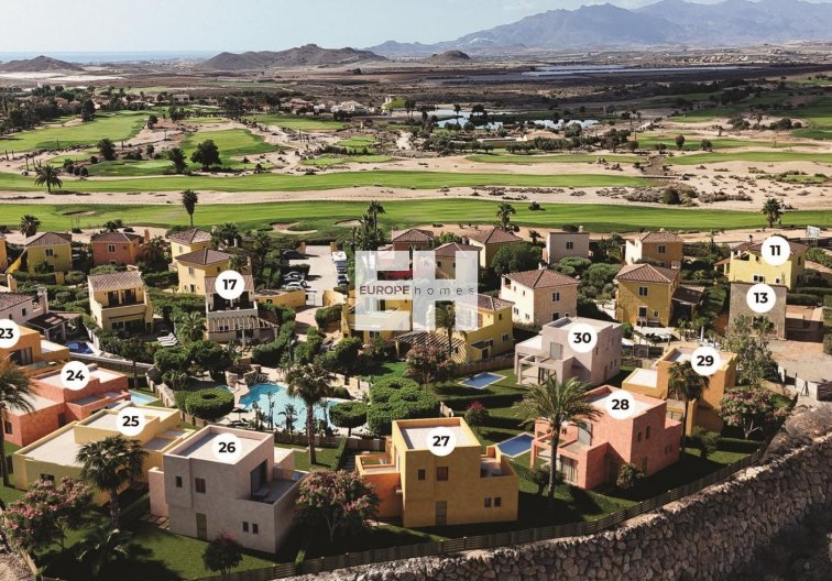 Obra Nueva - villa - Cuevas Del Almanzora - Desert Springs Golf Club