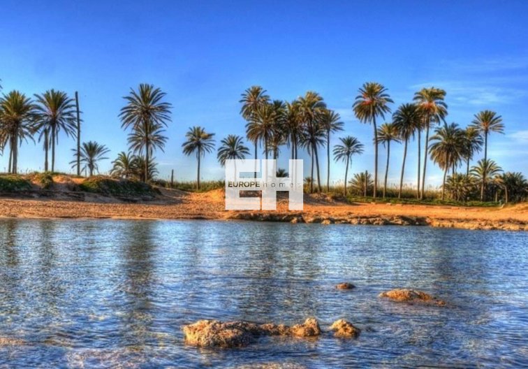 Obra Nueva - Atico - Torrevieja - Playa de El Cura