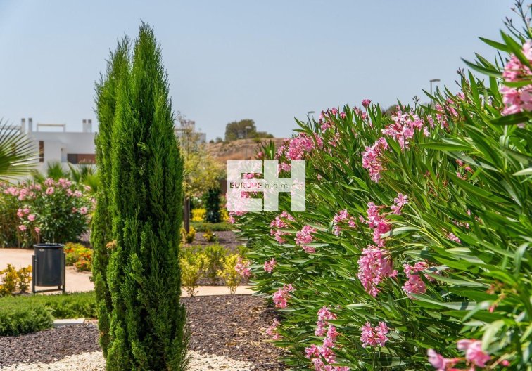 Obra Nueva - town house - Orihuela - Vistabella Golf