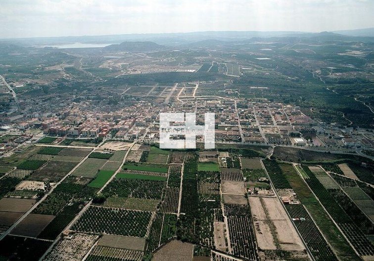 Obra Nueva - Ground floor apartment - Bigastro - pueblo