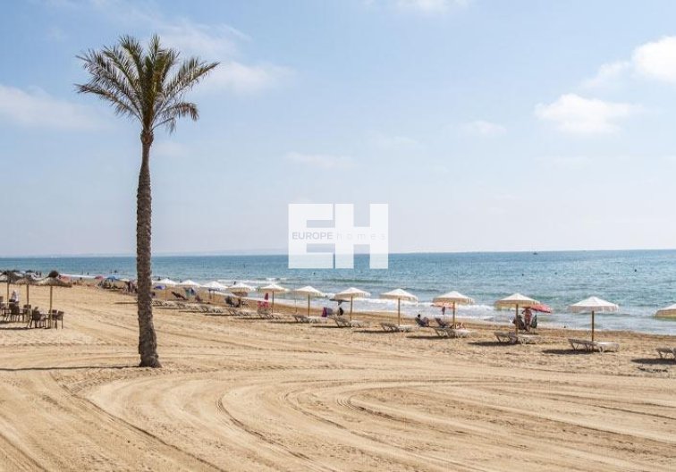 Construction Neuve - Penthouse - Guardamar del Segura - Pueblo