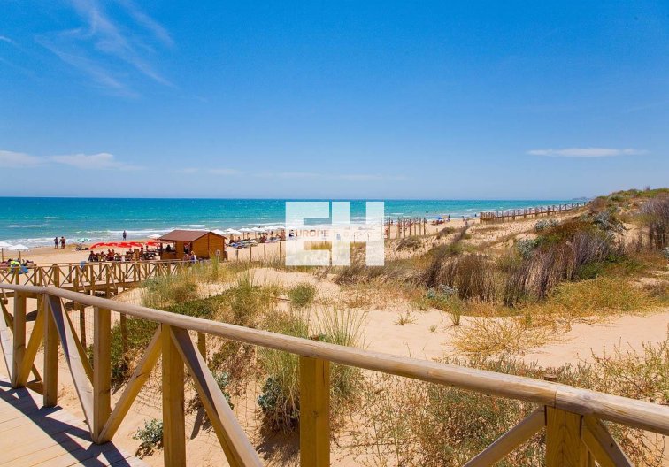 Obra Nueva - Ground floor apartment - Guardamar del Segura - Pueblo