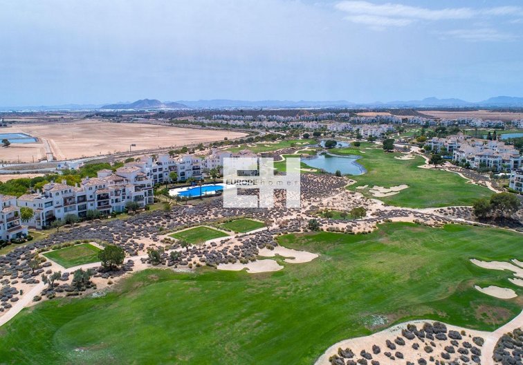 Obra Nueva - Semidetached - Sucina