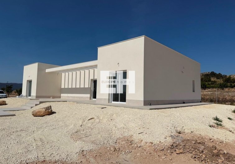 Obra Nueva - villa - Pinoso - Camino Del Prado