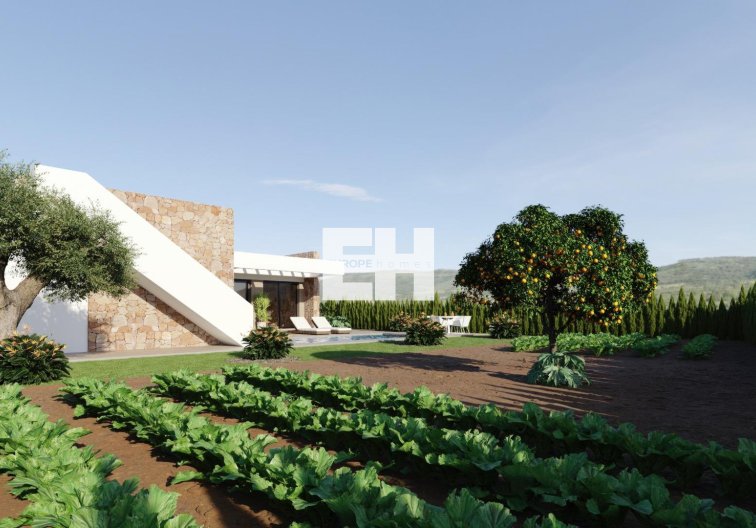 Construction Neuve - villa - Fuente Álamo - Hacienda del Alamo