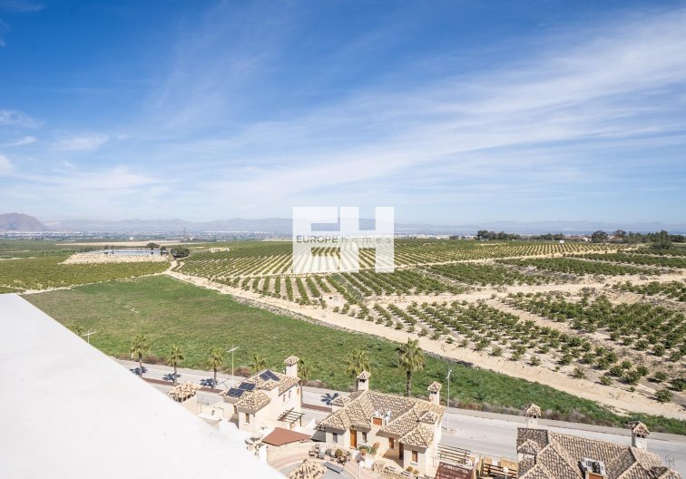 Obra Nueva - Semidetached - Algorfa - La Finca Golf