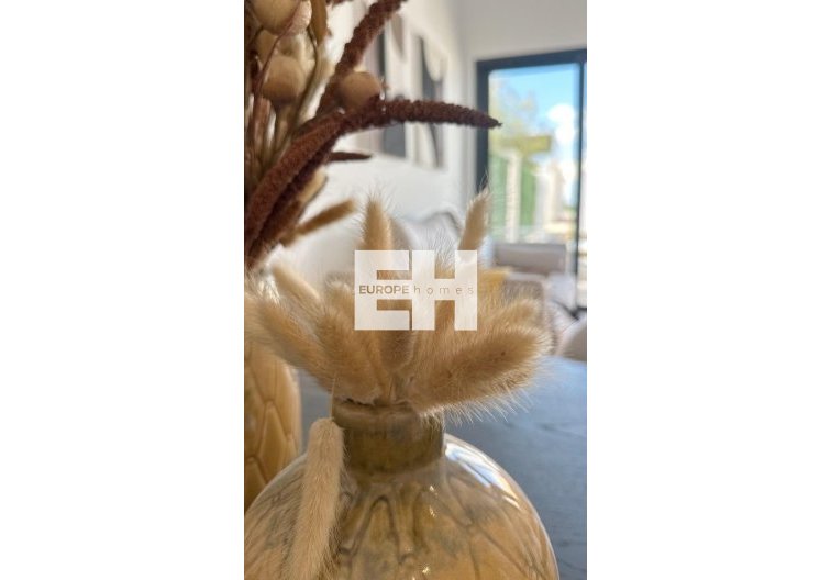 Obra Nueva - Bungalow en planta baja - San Fulgencio - Pueblo