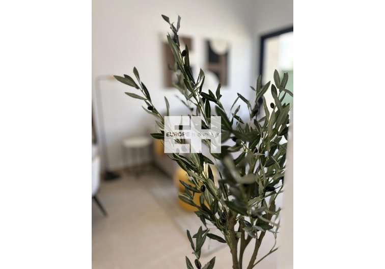 Obra Nueva - Bungalow en planta baja - San Fulgencio - Pueblo