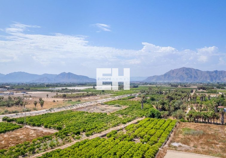 Obra Nueva - Ground floor apartment - Jacarilla - pueblo