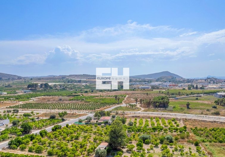 Obra Nueva - Atico - Jacarilla - pueblo