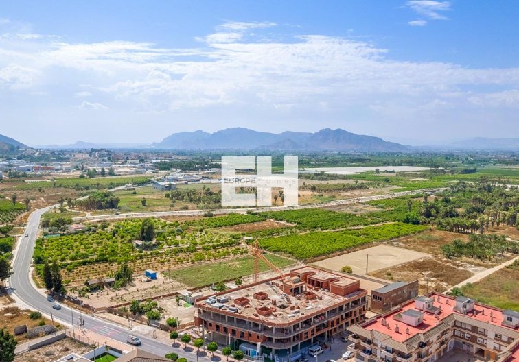 Obra Nueva - Atico - Jacarilla - pueblo