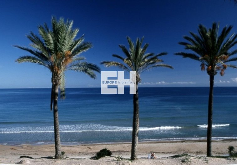 Construction Neuve - Bungalow au rez-de-chaussée - Pilar de la Horadada - Parque Ramon eugenio Escudero