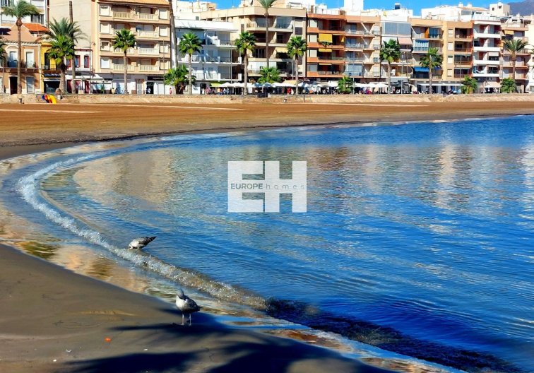 Obra Nueva - villa - Fuente Álamo - La Pinilla