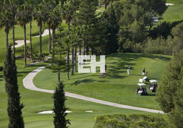 New Build - Ground floor apartment - Orihuela Costa - Lomas de Campoamor