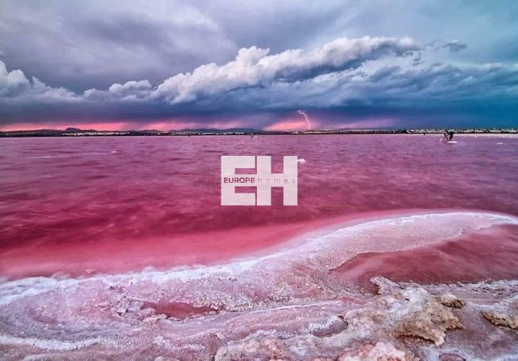 Obra Nueva - Bungalow en planta alta - Torrevieja - Altos del Sol