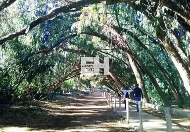 New Build - Ground floor Bungalow - Torrevieja - Altos del Sol