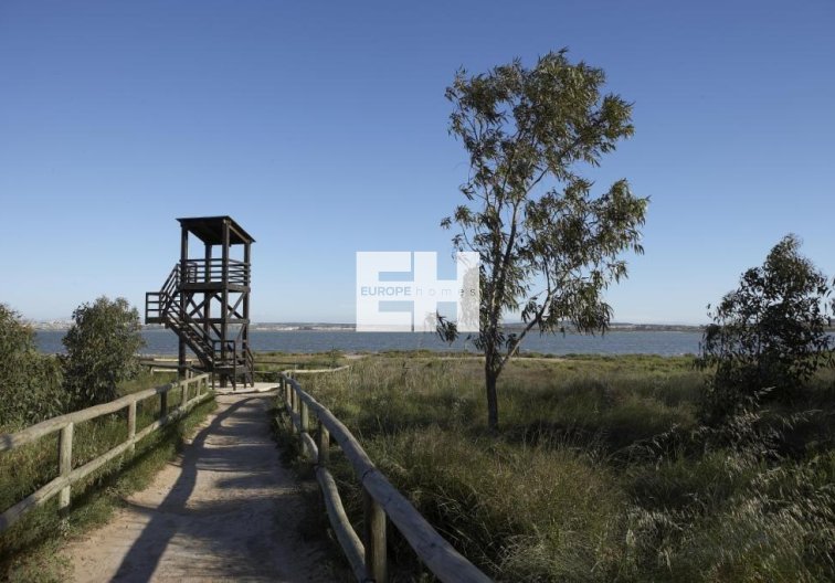 Obra Nueva - Bungalow en planta baja - Torrevieja - Altos del Sol