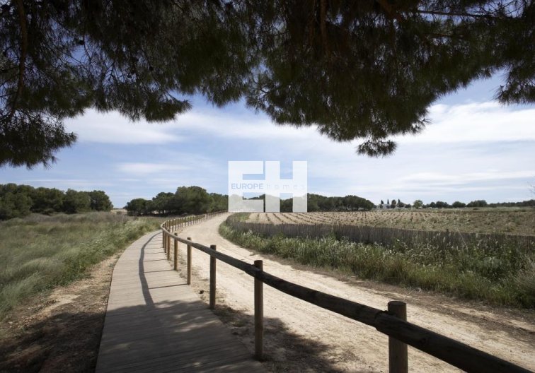 Obra Nueva - Bungalow en planta baja - Torrevieja - Altos del Sol