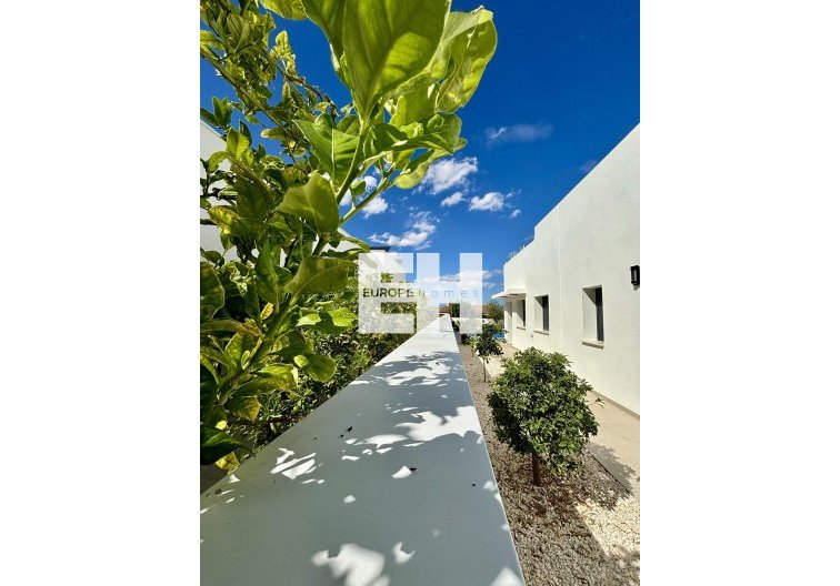 Obra Nueva - villa - Benijofar - Pueblo