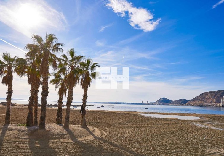 Construction Neuve - Semidetached - Els Poblets - Partida Barranquets